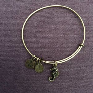 Alex and Ani bracelet seahorse